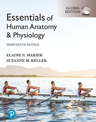 Essentials of Human Anatomy & Physiology, Global Edition (ePub eBook)
