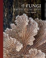 Lives of Fungi, The: A Natural History of Our Planet's Decomposers