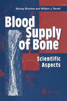 Blood Supply of Bone: Scientific Aspects