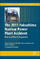 The 2011 Fukushima Nuclear Power Plant Accident (ePub eBook)
