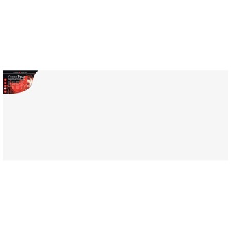 Daler Rowney Stretched Canvas: LANDSCAPE 40x100cm (16x39in): 28mm Depth